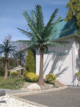Tropical Expressions Inc.