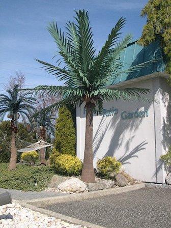 Tropical Expressions Inc.