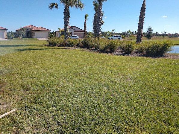 Centeno Sod Inc
