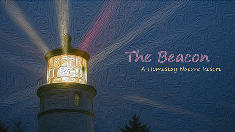 The Nature Coast Beacon