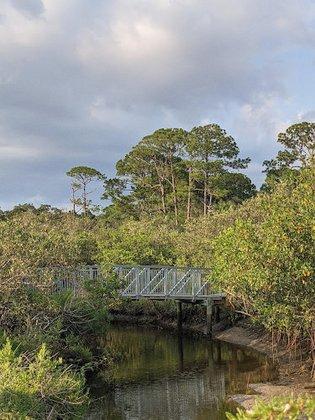 Hammock Park
