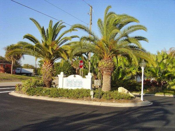Asphalt Repair Service