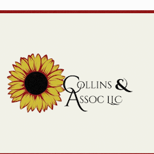 COLLINS & ASSOC LLC | Grant Writing, Tax Preparation & Business Planning