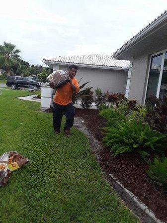 Jasmines Landscaping and Maintenance