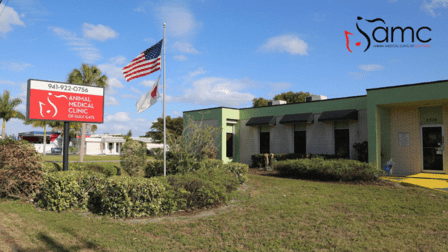 Animal Medical Clinic of Gulf Gate