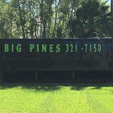 Big Pines Tree Services