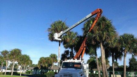 Big Pines Tree Services