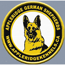 Appleridge German Shepherds