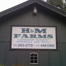 H & M Farms