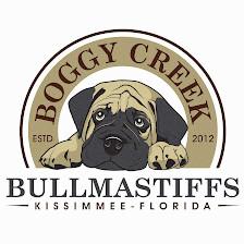 Boggy Creek Bullmastiffs