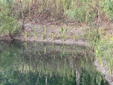 Mar Environmental Services, Inc.
