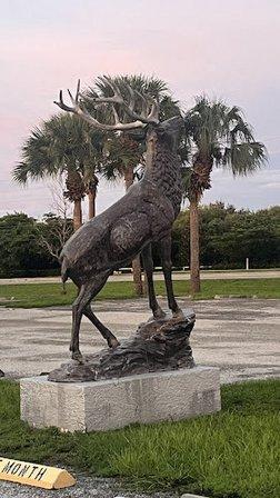 Venice-Nokomis Elks Lodge #1854