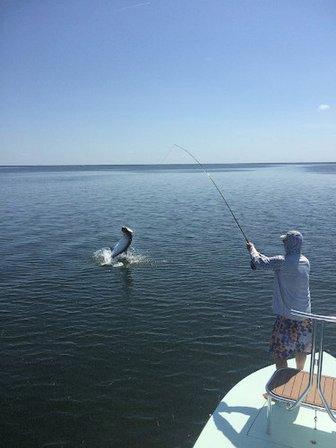 Shallow Sightings Fishing Charters and Guide Service
