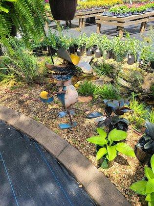 Landscape Creations
