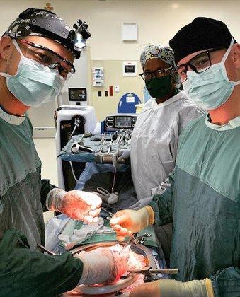 Jamii St. Julien, MD, MPH, FACS