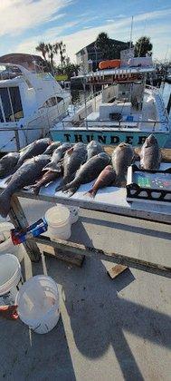 Bait And Tackle Of Hernando Beach