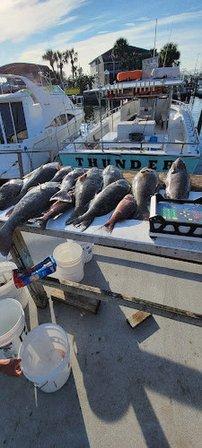 Bait And Tackle Of Hernando Beach