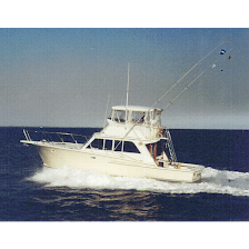 Paladin Fishing Charters