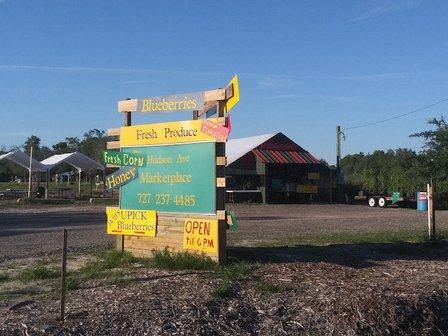 Bob's Blueberry Farm