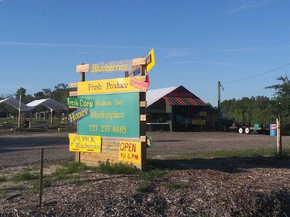 Bob's Blueberry Farm