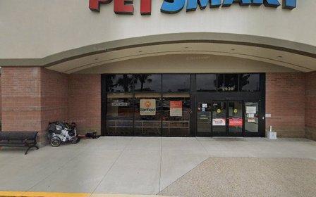 PetSmart Dog Training