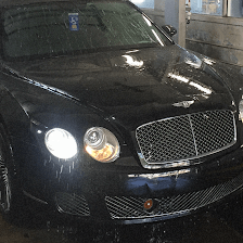 Blue Dolphin Car Wash