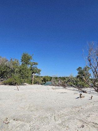 Get Up And Go Kayaking - Sarasota