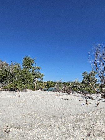 Get Up And Go Kayaking - Sarasota