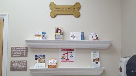 Countryside Animal Clinic