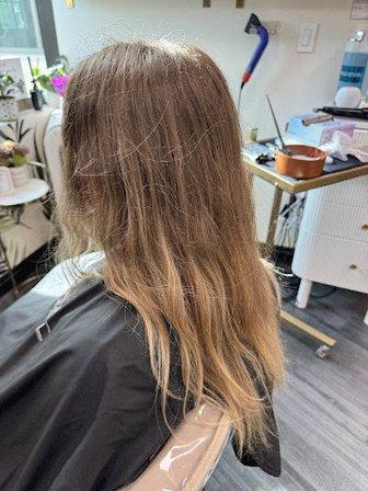 Salon 1738