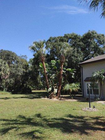 In Sawdust We Trust Tree Service