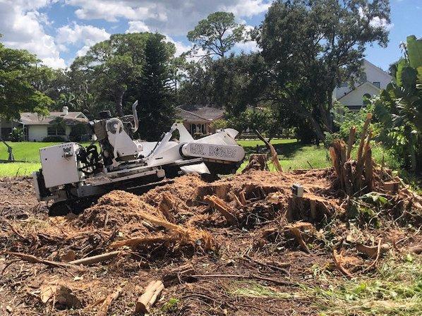 Mr Bones Stump Grinding