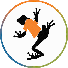 Big Frog Franchise Group