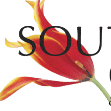 South Lake OB/GYN & Advanced Surgery