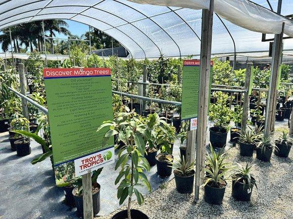 Troy's Tropics Retail Nursery and Wholesale Garden Center