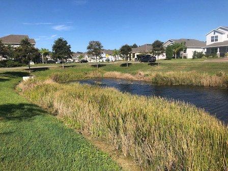 Lake and Lawn