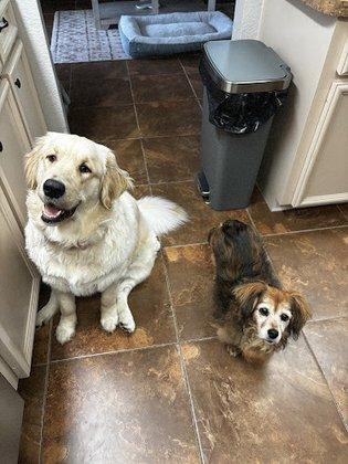 Bee Ridge Veterinary Clinic