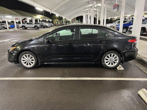 Payless Car Rental