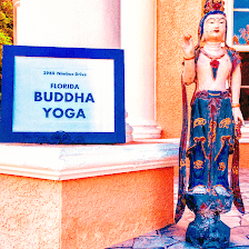 North Port Buddha Yoga