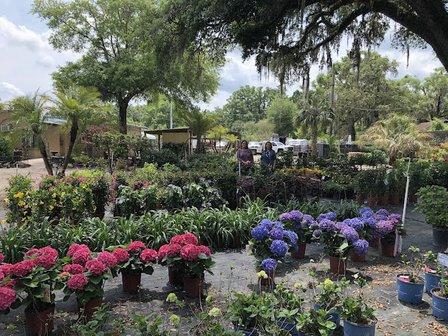 CML Garden Center