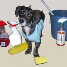 Carolyn's Cleaning Service