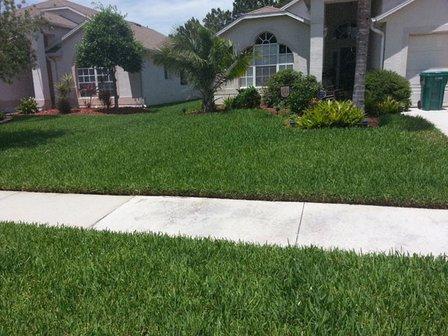 Elite Inspections & Pest Solutions