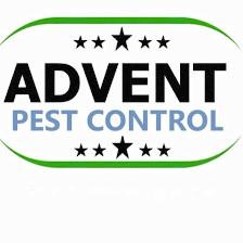Advent pest control