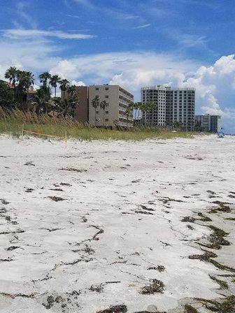 Public Beach Access