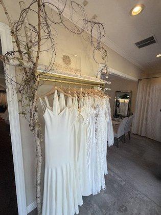 The Perfect Dress of Sarasota