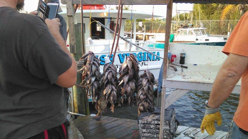 Miss Virginia Deep Sea Fishing