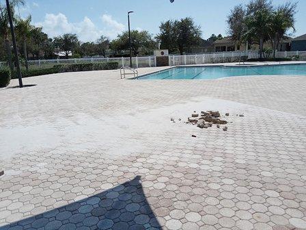Key Vista Clubhouse