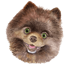 Teddy Inc.