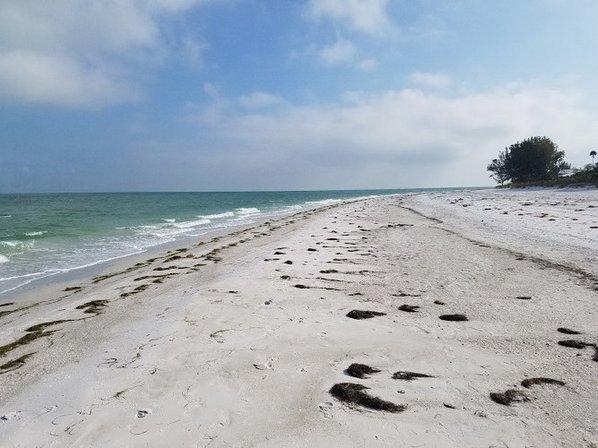 Bean Point Beach