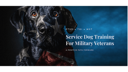 K9 Partners for Patriots, Inc.